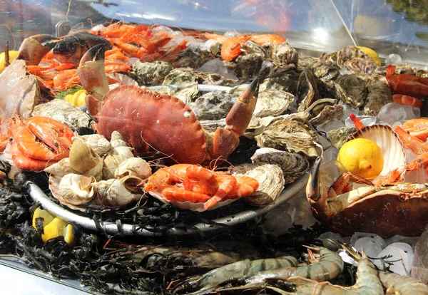 Tray with a lot of type of seafoo — Stockfoto