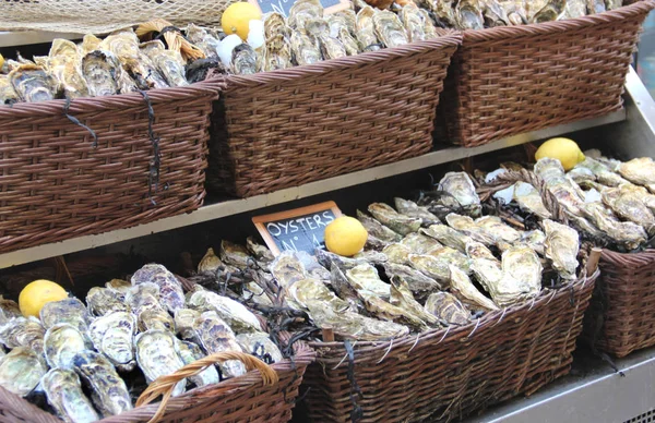 Manden met een heleboel Franse oesters — Stockfoto