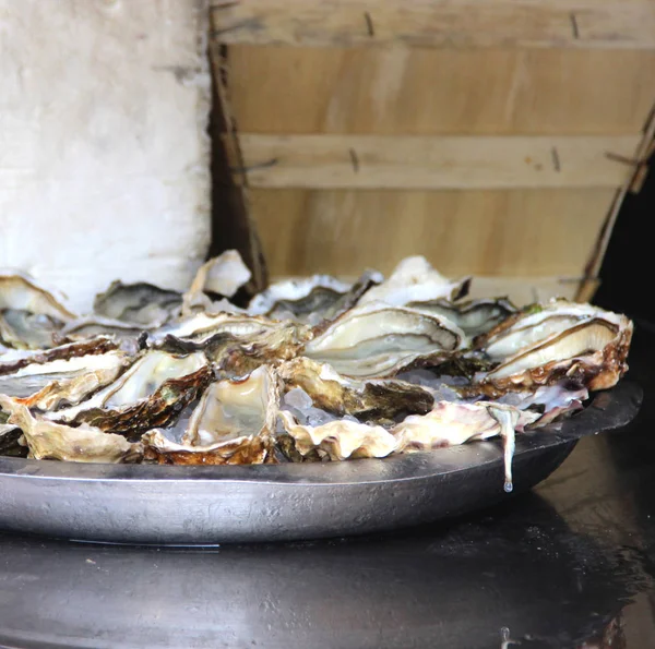 Plaat met een heleboel Franse oesters — Stockfoto