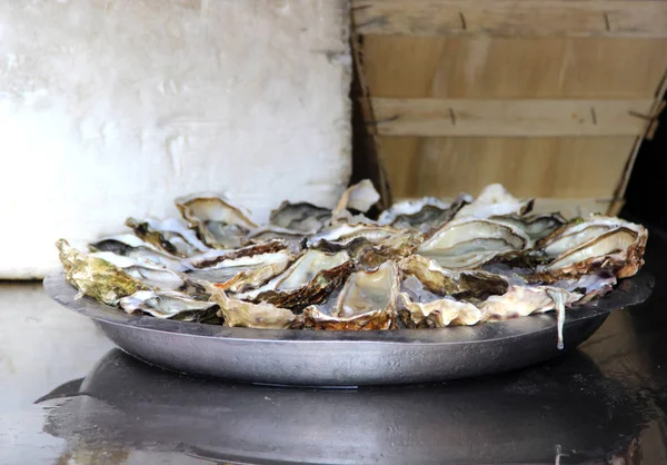 Plaat met een heleboel Franse oesters — Stockfoto