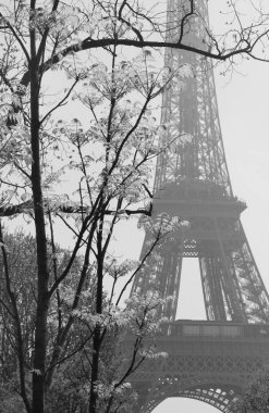 Eyfel Kulesi Bloom, Paris, Fransa