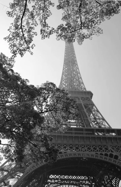 Eyfel Kulesi ve bahar ağaçları, Paris