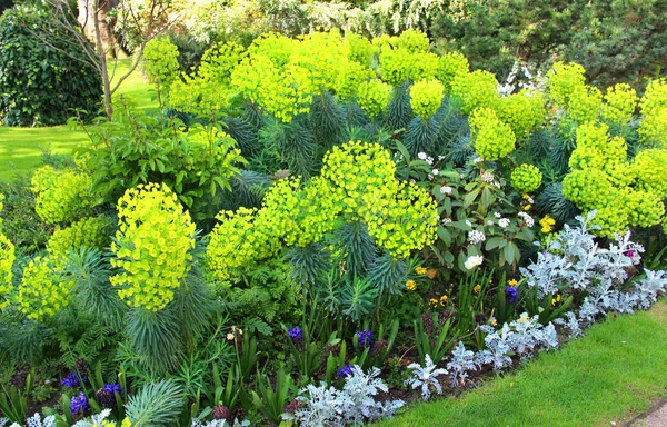 夏天花园里惊人的花床 — 图库照片