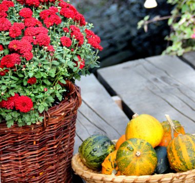 Terasta kabak karışımı