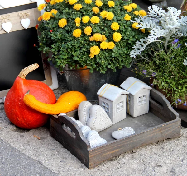 Mix of fall decorations with pumpkin