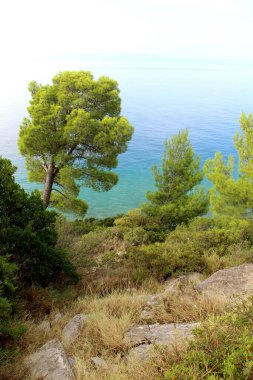 Hırvatistan 'ın şaşırtıcı doğası, Makarska Riviera
