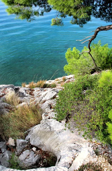 Csodálatos Természet Horvátország Makarska Riviéra — Stock Fotó
