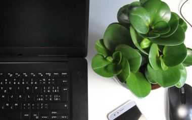 Ev ofisi, bilgisayarlı ve cep telefonlu beyaz masa.