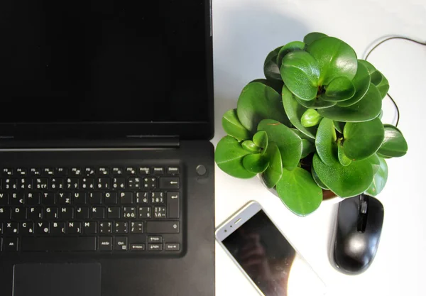 Home Office Tavolo Bianco Con Laptop Phon Mobile — Foto Stock