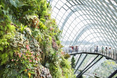 Singapur kış bahçeleri: çiçek kubbe ve bulut orman. Singapur Körfez bahçelerde kalbinde iki büyük Cam kubbeler, seralar konservatuarlar çiçek kubbe ve bulut orman vardır.