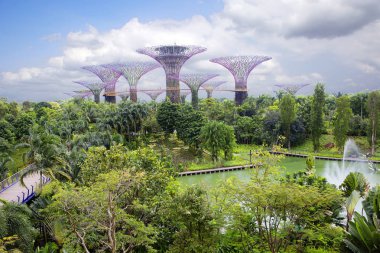 Singapur, 01/18/2018, dev ağaçlar Bay.Futuristic bahçelerle Singapur. En önde gelen Bay Güney Bahçe dev yapay ağaçlar parçasıdır. Tasarımını