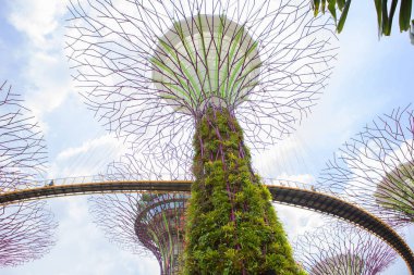 Singapur, 01/18/2018, dev ağaçlar Bay.Futuristic bahçelerle Singapur. En önde gelen Bay Güney Bahçe dev yapay ağaçlar parçasıdır. Tasarımını