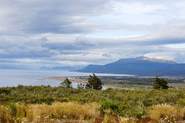 Punta Arenas. Şili. Macellan Ulusal Parkı Boğazı 'nın doğası. Ulusal Park, nesli tükenmekte olan ve nadir bulunan bitki örtüsü türlerini ve bölgelerindeki hayvan dünyasının temsilcilerini barındırır..