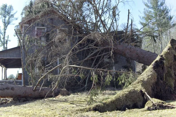Devastación de la destrucción de la tormenta — Foto de Stock