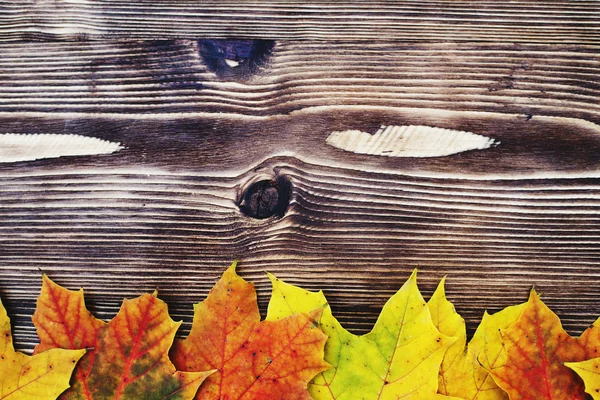 Autumn background with colored leaves on wooden board — Stock Photo, Image