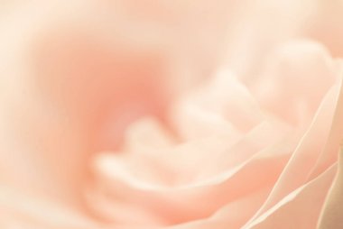 narin pembe arka plan