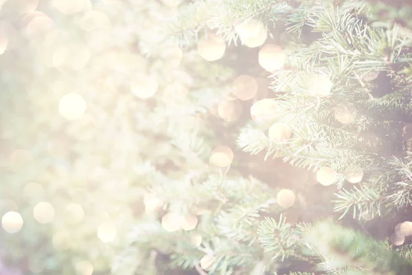 Köpüklü tatil ışıklı Noel ağacı arka plan