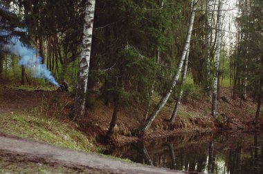 Park ormanı doğası