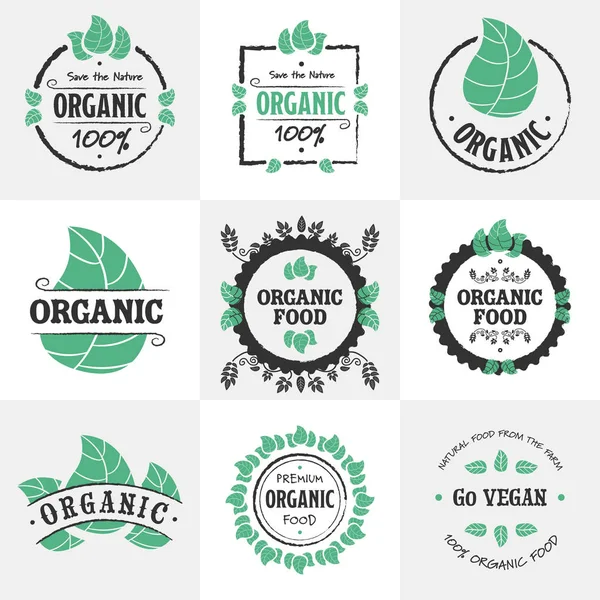 Set de iconos de alimentos ecológicos — Archivo Imágenes Vectoriales