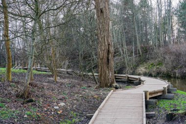 Doğa parkında yürümek için yeni kavisli tahta patika