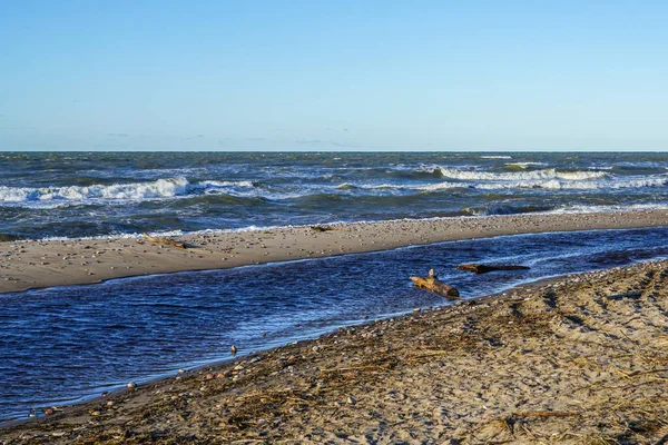 Costa Del Mar Báltico Pequeña Desembocadura Del Río Mar Tormentoso — Foto de Stock