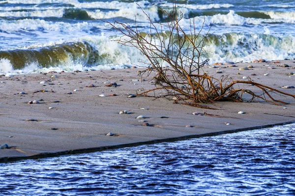 Costa del Mar Báltico, pequeña desembocadura del río en el mar — Foto de Stock