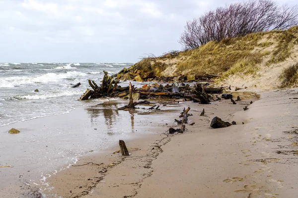 Erosão Costa Mar Báltico Por Ventos Fortes Problema Ambiental — Fotografia de Stock