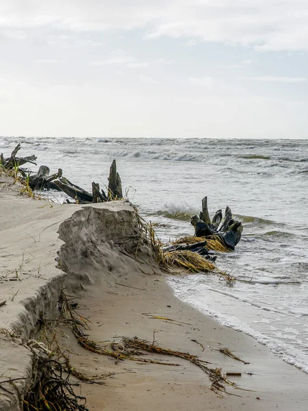 Erosão da costa do mar Báltico por ventos fortes — Fotografia de Stock