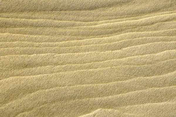 바람 과물 이 해변에 모래 질감을 만들어 냈다 — 스톡 사진