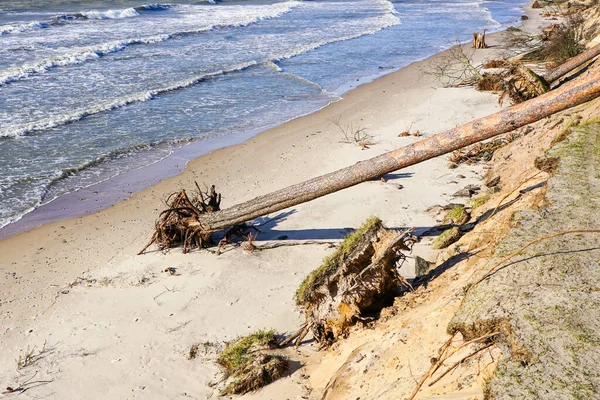 erosion of the Baltic Sea coast by strong winds, environmental problem