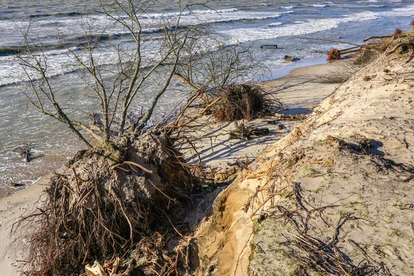 強い風によるバルト海沿岸の浸食環境問題 — ストック写真