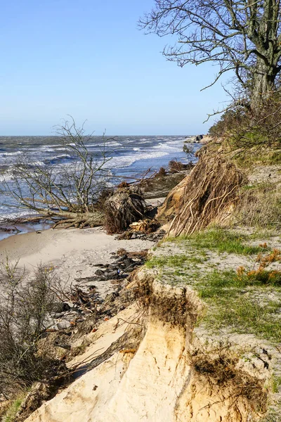 Erozja Wybrzeża Morza Bałtyckiego Przez Silne Wiatry Problem Środowiskowy — Zdjęcie stockowe