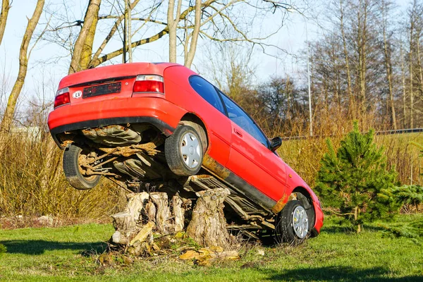 Czerwony Samochód Umieszczony Dużym Pniu Ciekawym Obiekcie Środowiskowym — Zdjęcie stockowe