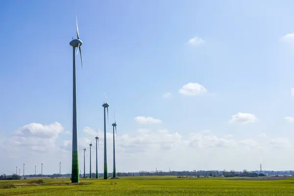 Větrná farma v zeleném poli na pozadí modré oblohy — Stock fotografie