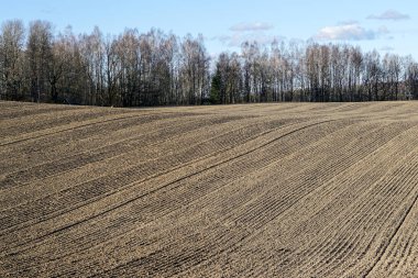 Baharın başında ekili ve ekili tarlaların manzarası