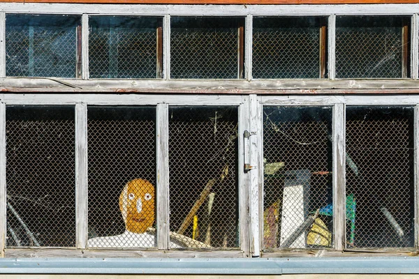 Stylized Human Face Quarantine Looks Out Window Covered Wire Mesh — Stock Photo, Image