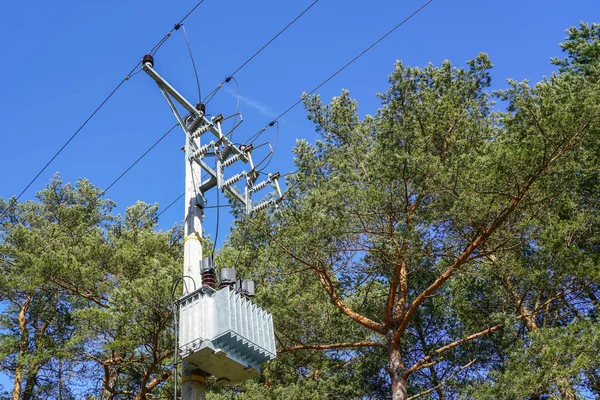 Linea Trasmissione Elettrica Palo Con Fili Nella Foresta Uno Sfondo — Foto Stock