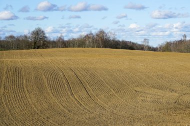 İlkbaharın başlarında ekilmiş ve ekilmiş tarlaların manzarası