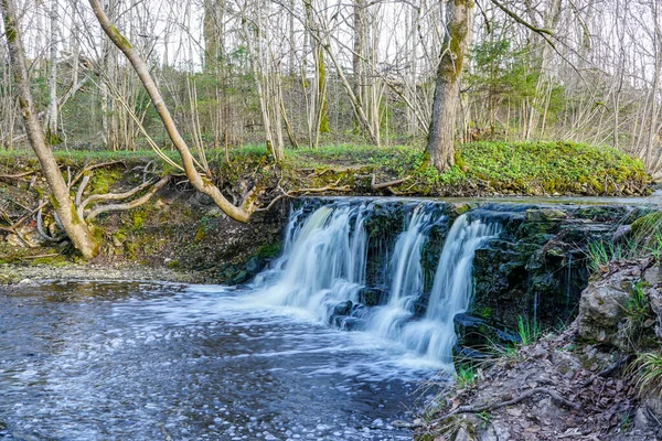 Vacker Utsikt Över Ett Vattenfall Liten Flod Ett Skogsområde — Stockfoto