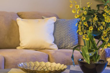 Colorado ev iç dekor