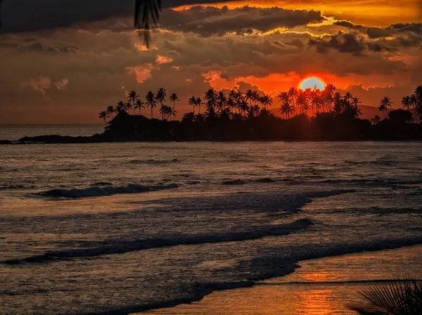 Ondas Oceânicas Belo Pôr Sol Tropical Vermelho Sobre Coqueiros Praia — Fotografia de Stock