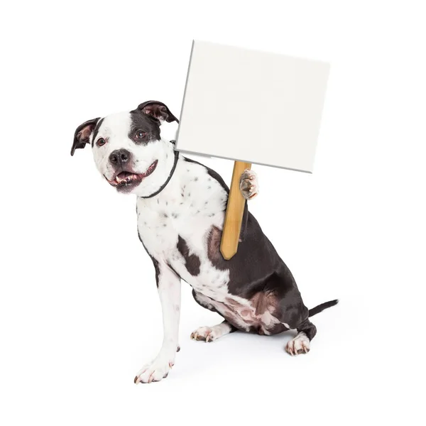快乐的狗握着空白符号 — 图库照片