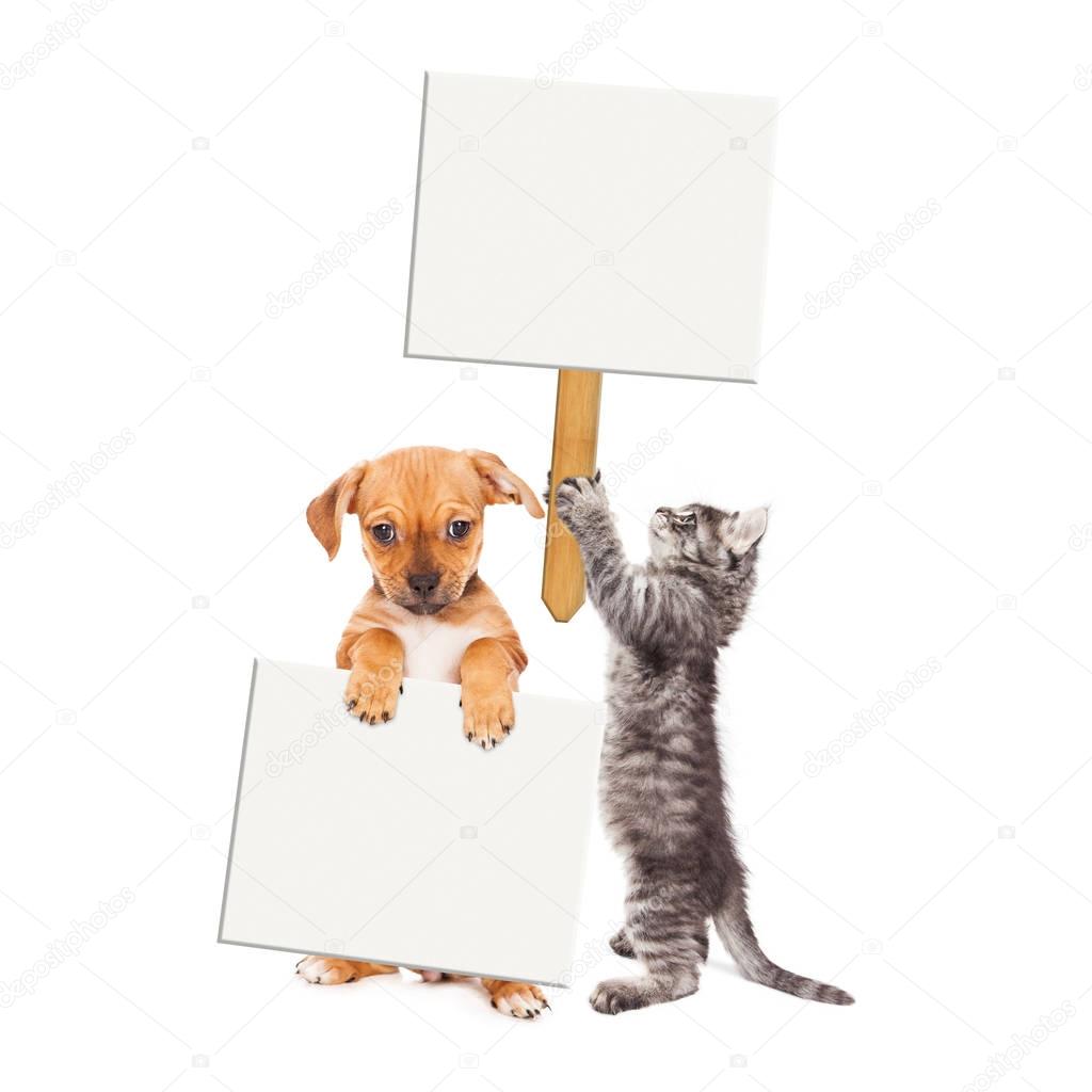 Puppy and Kitten Holding Blank Signs