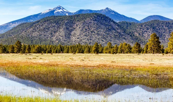 Флагстафф в горах Аризоны отражается в воде — стоковое фото