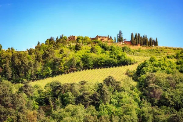Maison sur un vignoble de vin se trouve au sommet d'une colline — Photo