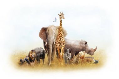 Afrika Safari hayvanlar fantezi arazi