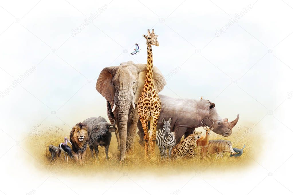 African Safari Animals Fantasy Land