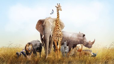 Safari hayvanlar Afrika kompozit
