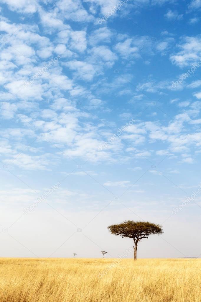 Campo de hierba abierta con cielo azul grande Vertical 2023