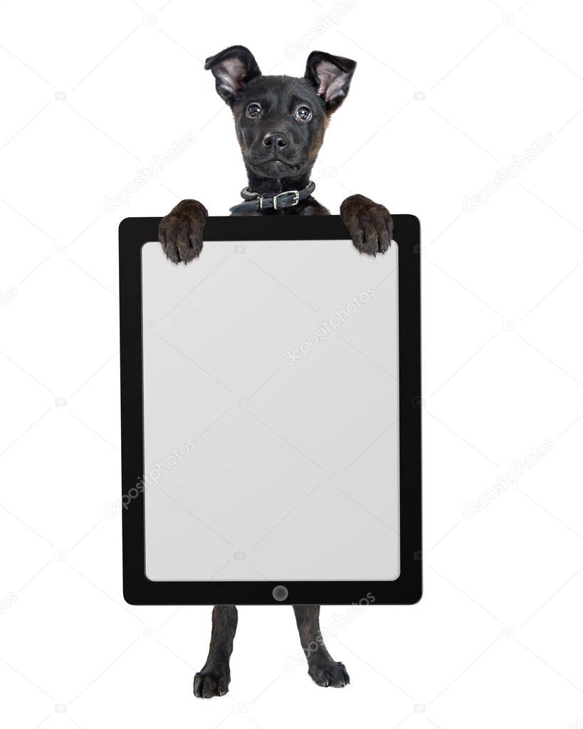 black puppy holding tablet computer 